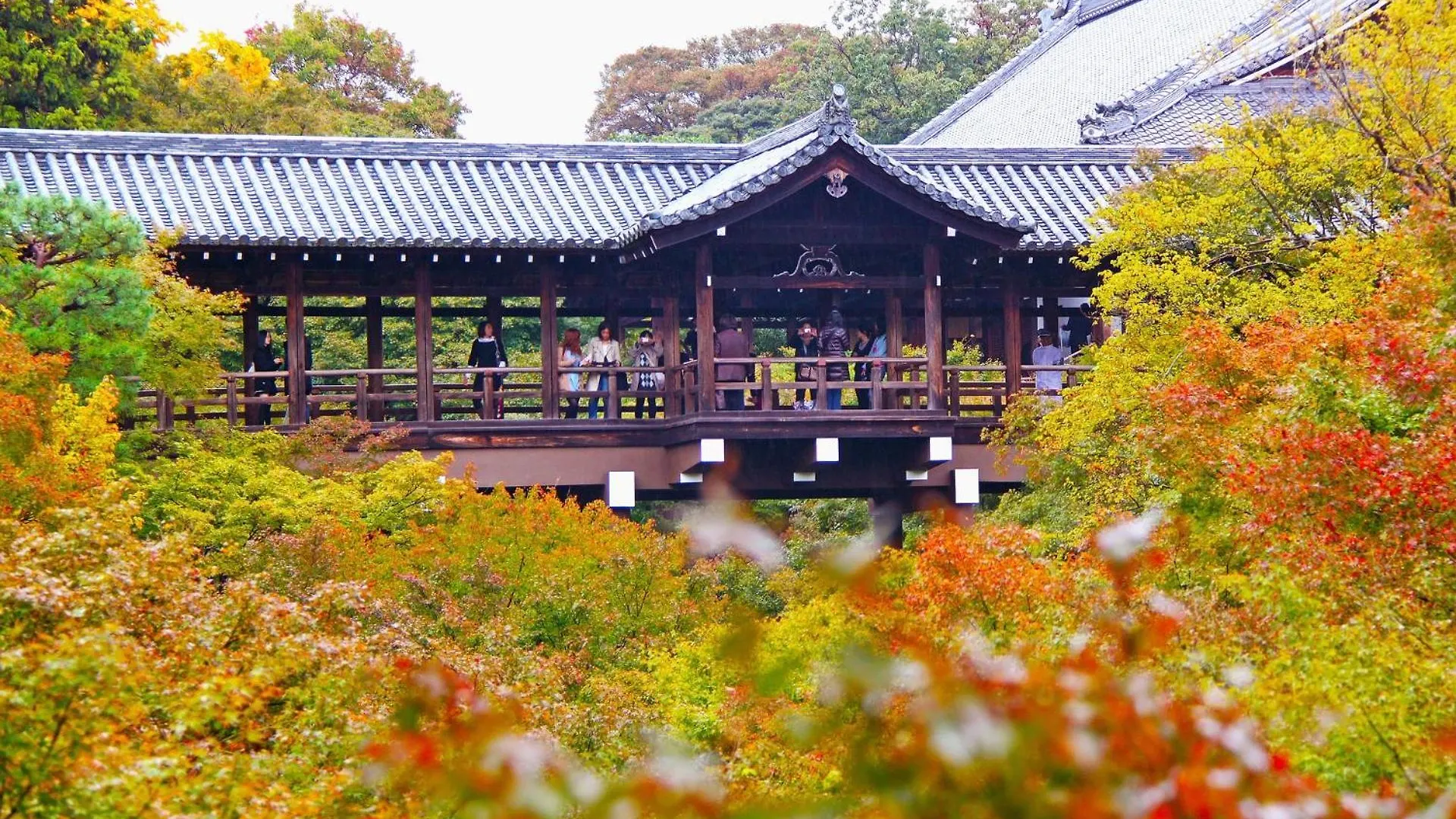 Mezame Kyoto Aparthotel Giappone
